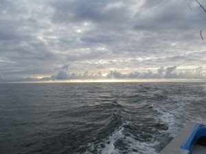 IMG_3248-800x600