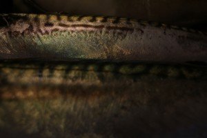 IMG_6234