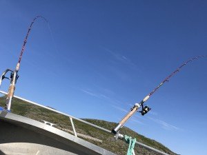 IMG_6542