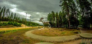 IMG_7471