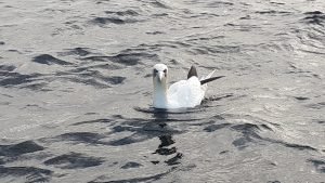 20170919_090302