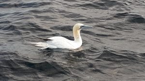 20170919_090343