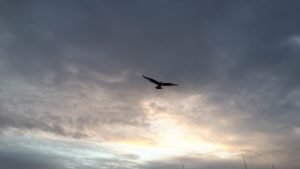 20170922_072816