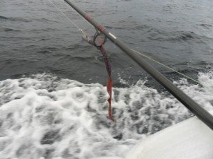 33sula-1
