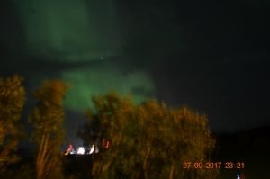 DSC_0041-800x530