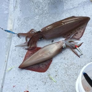 IMG-20170911-WA0002