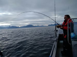 IMG-20170924-WA0002