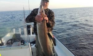 IMG-20170929-WA0030