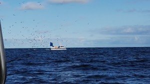IMG_20170824_100815