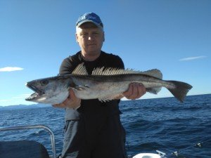 IMG_20170904_114222