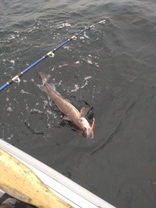 IMG_20170905_124551