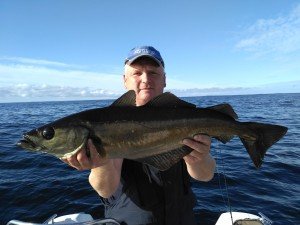 IMG_20170907_162226