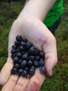 IMG_20170908_151342