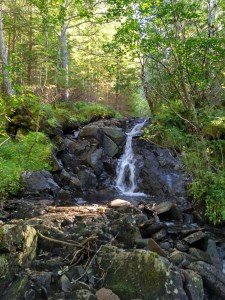IMG_20170908_160930_HDR