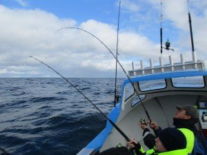 IMG_3249-800x600