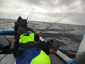 IMG_3250-800x600