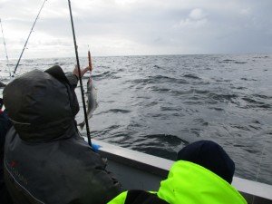 IMG_3254-800x600