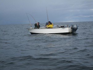 IMG_3259-800x600