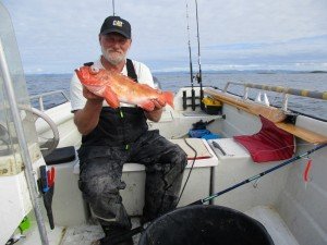 IMG_3264-800x600