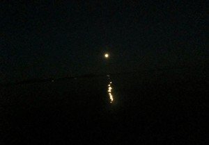 IMG_3271-800x556