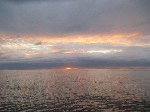 IMG_3290-800x600