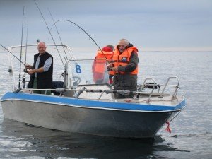 IMG_3315-800x600
