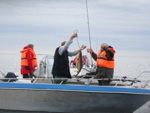 IMG_3320-800x600