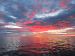 IMG_3364-800x600