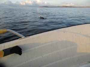 IMG_3388-800x600