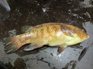 IMG_3402-800x600