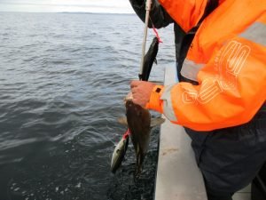 IMG_3452-800x600