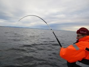 IMG_3456-800x600