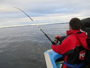 IMG_3463-800x600