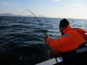 IMG_3535-800x600