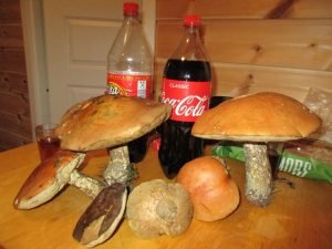 IMG_3576-800x600