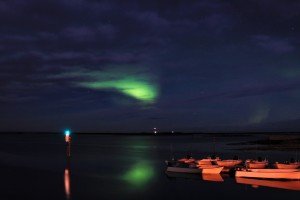 IMG_6254