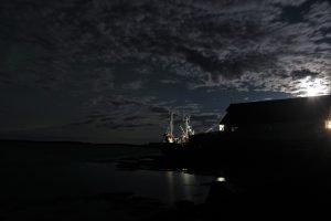 IMG_6290