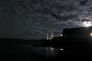 IMG_6291
