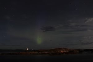 IMG_6296