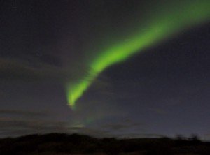 P9080032-800x592