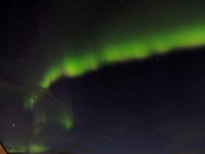 P9080033-800x599