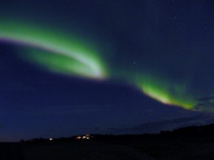 P9080041-800x599