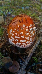 P_20170902_113049