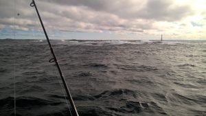 WP_20170919_12_04_52_Pro-Medium