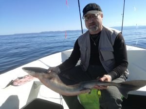 IMG_20170903_132452