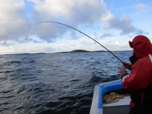 IMG_3609-800x600