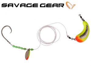 sg_balic_bait_fish
