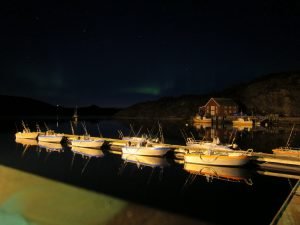 IMG_0246