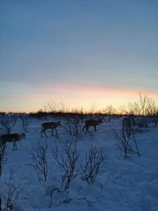 FB_IMG_1516195261155