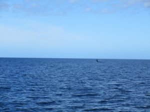 IMG_0246